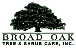 Broad Oak Tree & Shrub Care, Inc